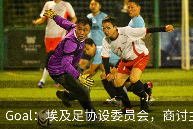 Goal：埃及足协设委员会，商讨主帅哈桑续约事宜
